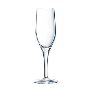 Coupe de champagne Chef & Sommelier Transparent verre (19 cl)