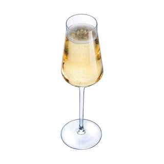Coupe de champagne Chef & Sommelier Transparent verre (21 cl)