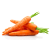Carottes