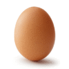 Oeuf