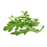 Roquette