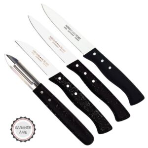 Photo de NOGENT Coffret 4 couteaux de cuisine Expert - Les Basiques