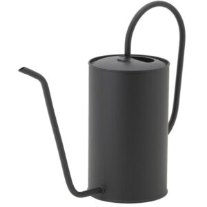 Photo de AUBRY GASPARD Arrosoir 1,5 L Ø13 cm métal Noir