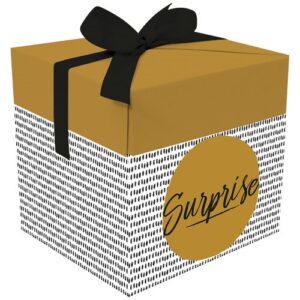 Photo de PAPETERIE DU POITOU Boite cadeau popup surprise 20x20x20cm