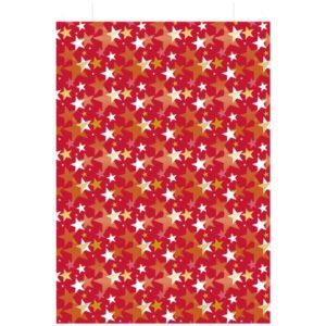 Photo de LES COULEURS DE L'EMBALLAGE Sachet cadeau étoile 124.5x20cm