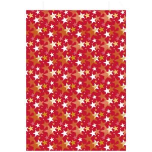 Photo de LES COULEURS DE L'EMBALLAGE Sachet cadeau étoile 186x35cm