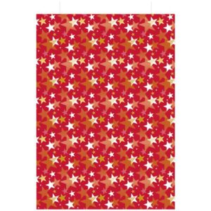 Photo de LES COULEURS DE L'EMBALLAGE Sachet cadeau étoile 277x45cm