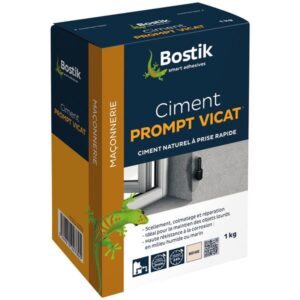 Photo de BOSTIK Ciment prompt Vicat - 1 Kg