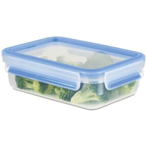 Photo de TEFAL Boîte de conservation rectangulaire 0,8 L - Masterseal Fresh