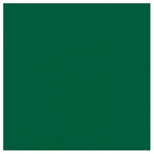 Photo de DUNI Lot 20 serviettes 33 x 33 cm Vert Foncé