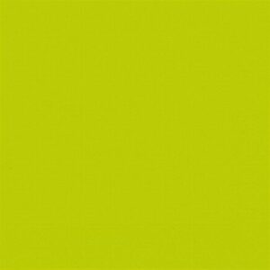 Photo de DUNI Lot 20 serviettes 33 x 33 cm Kiwi