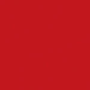 Photo de DUNI Lot 12 serviettes 40 x 40 cm Rouge - Dunisoft Bio