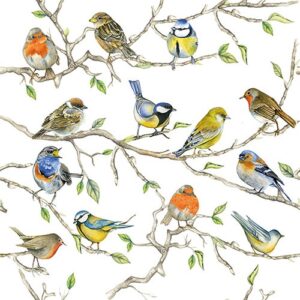 Photo de AMBIENTE Lot 20 serviettes en papier 33 x 33 cm - Réunion d'Oiseaux