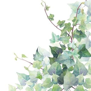 Photo de AMBIENTE Lot 20 serviettes en papier 33 x 33 cm - Feuilles de Lierre