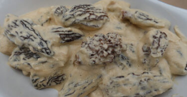 Photo de la recette : Recette sauce aux morilles facile