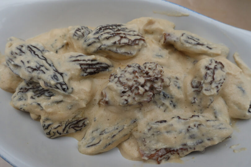 Photo de la recette : Recette sauce aux morilles facile