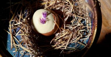 Photo de la recette : Recette oeuf by ripaille à l'espuma de haddock